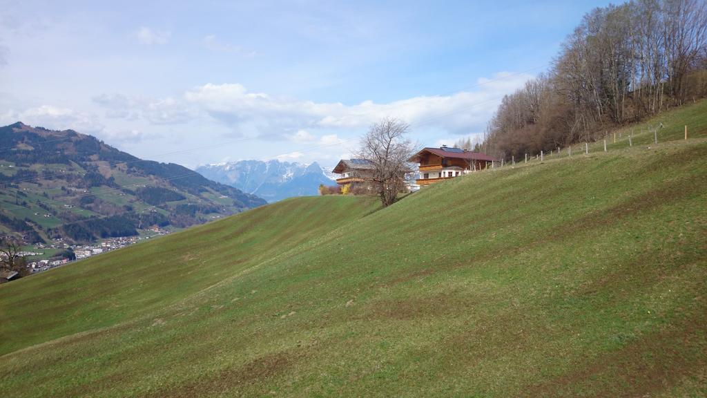 Bauernhof Eisbauer