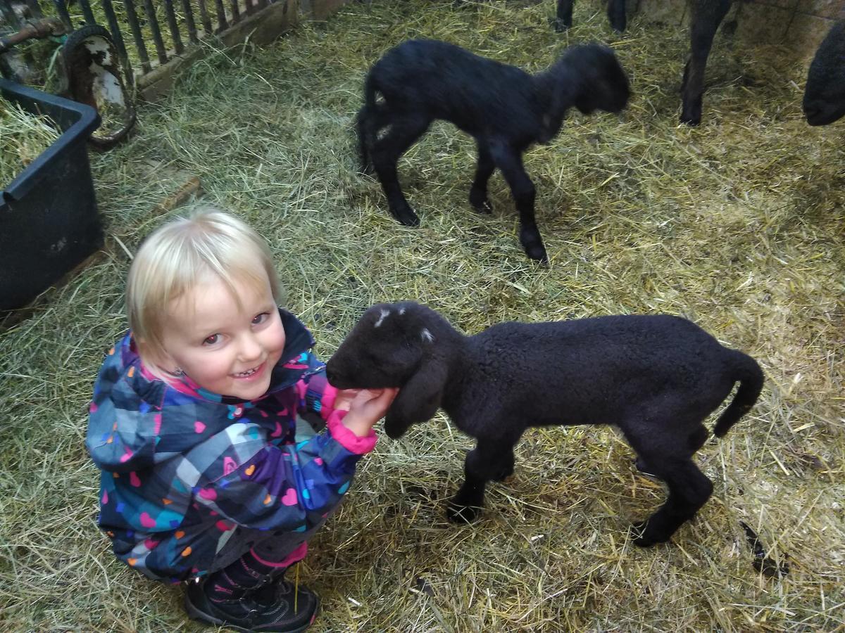 Séjour à la ferme Eisbauer Sankt Johann im Pongau